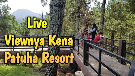 Live Patuha Resort Ciwidey Bandung Youtube