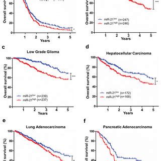 Mir Expression Is Associated With Decreased Survival In Patient