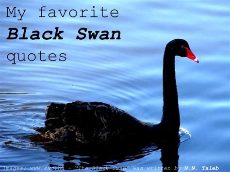 Great Black Swan Quotes Learn more here | quotesenglish2