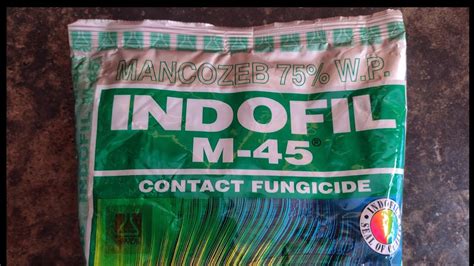 Fungicide MANCOZEB 75 WP Indofil M 45 YouTube