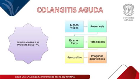 SOLUTION Colangitis Aguda Studypool