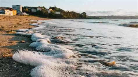 Legambiente Esce Il Reporto Mare Monstrum Sugli Illeciti Legati Alle