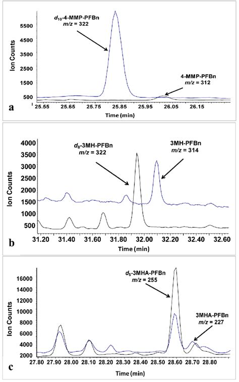 Typical Chromatogram Obtained In Selective Ion Monitoring Sim Mode Download Scientific