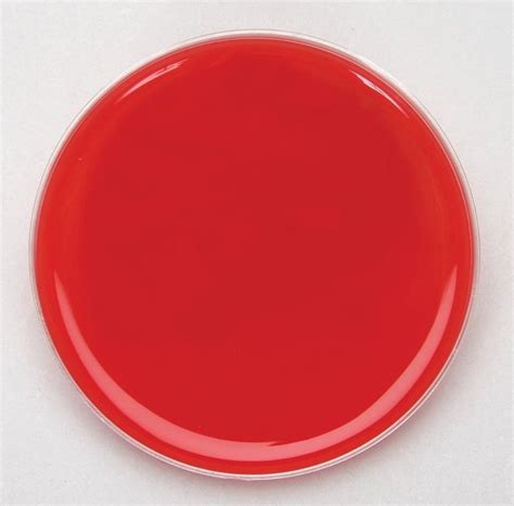 Blood Agar Plate 90 Mm For Industrial Grade Standard Bio Tech