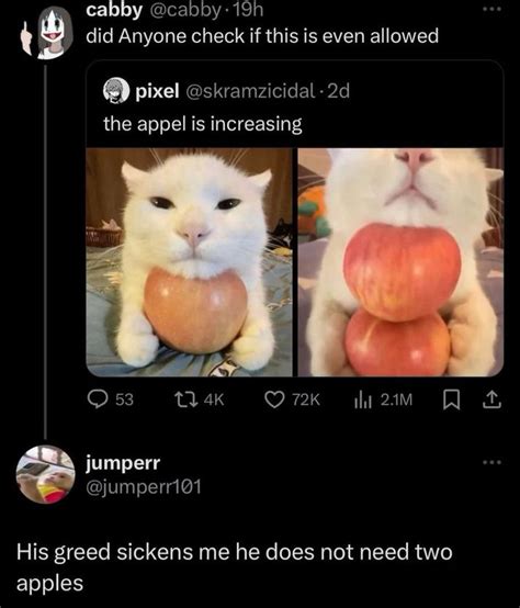 His Greed Sickens Me He Does Not Need Two Apples Cat With Apples