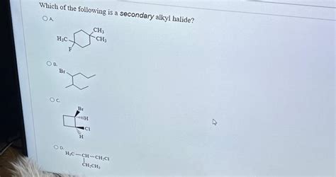 Solved Which of the following is a secondary alkyl halide? | Chegg.com