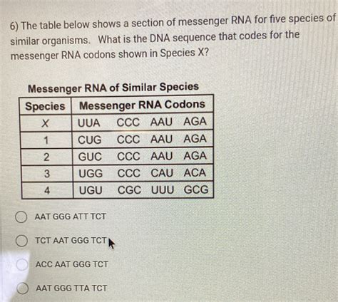 Solved 6 The Table Below Shows A Section Of Messenger RNA For Five