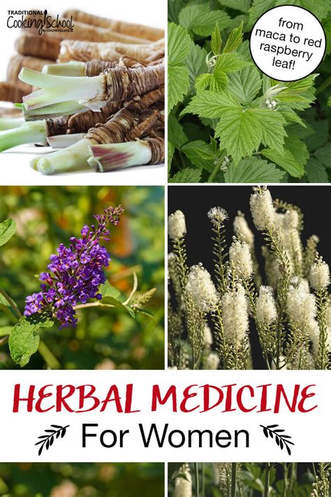 Best Herbs For Women Pms Menopause Fertility And More