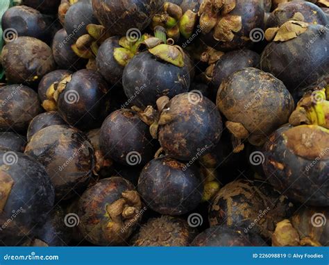 Manggis From Indonesian Fruit Stock Image Image Of Agriculture