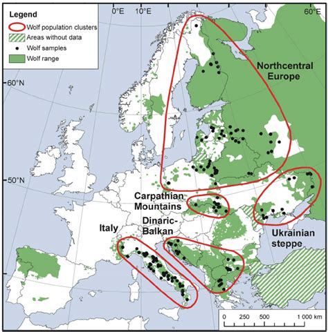 Map of European wolf distribution showing wolf samples (n = 177) and ...