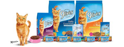 9 Lives Cat Food Review January 2025 The Best Tasting Cat Food