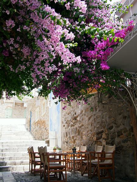 Where to Eat on the Island of Syros, Greece - Legal Nomads