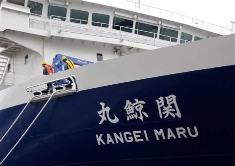Over 80 Injured As High Speed Hydrofoil Ferry Hits Whale In Japan