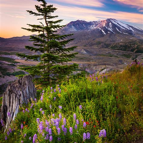 Scenic Road Trips In Washington State