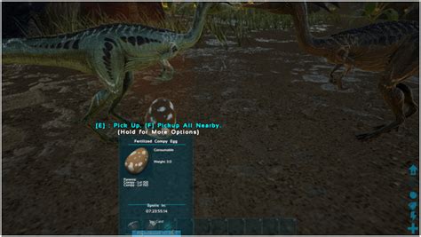 Ark Compy Abilities Taming Food Saddle Breeding Drops And Location