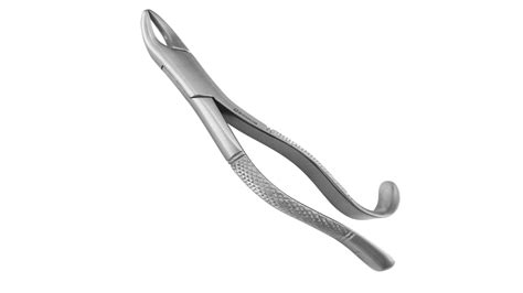 Top Tooth Extraction Forceps Update Dental Country