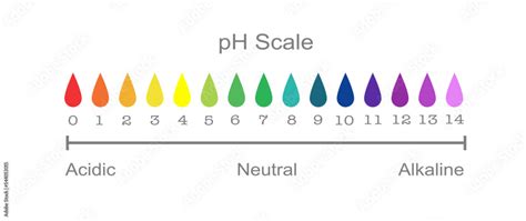 Ph Scale Fluid Drop Acidic Neutral And Alkaline Science Education