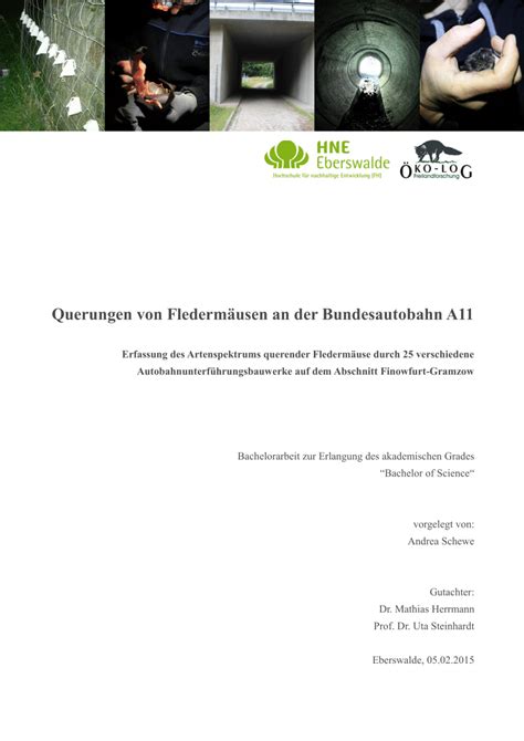 PDF Querungen von Fledermäusen an der Bundesautobahn A11 Erfassung