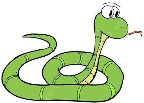 Serpiente Verde De Dibujos Animados Png Clipart Pngocean Porn Sex Picture