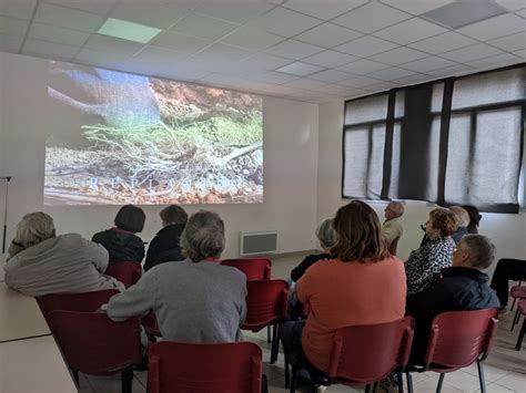 Sortie Cosne Ans Apr S Le Glissement De Terrain Le