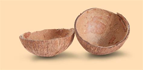 Coconut Empty Shell Top View Isolated On Nude Color 25269630 Stock