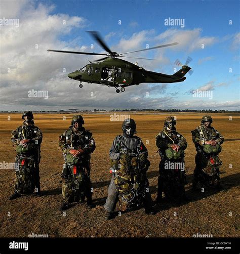 Irish Army Ranger Wing 30th anniversary Stock Photo - Alamy