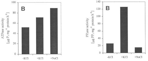 The Chloride Effect On The Ppiase Activity In Tonoplast Vesicles From