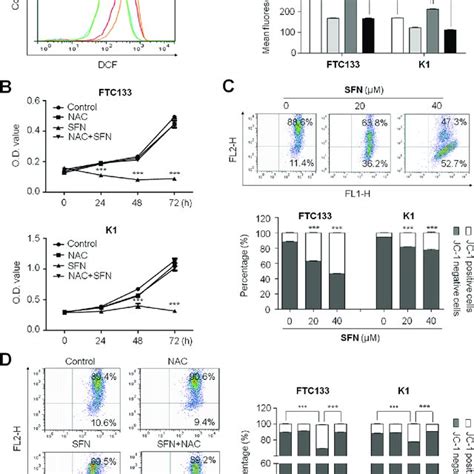 Induction Of ROS Production And The Loss Of Mitochondrial Membrane