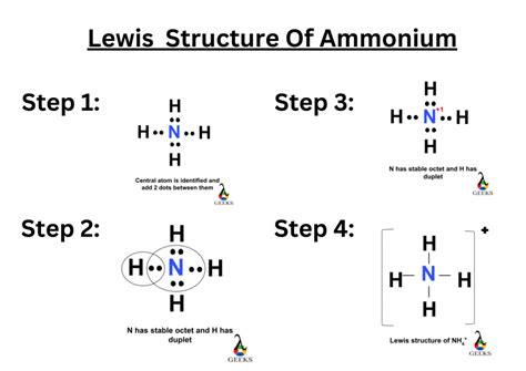 7 Steps To Draw Nh4 Lewis Structurehybridization Solved