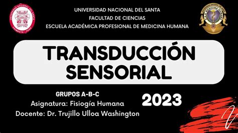 Transducci N Sensorial Udocz