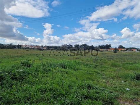 Terreno Venda Em Palmela Quinta Do Anjo Bairro Alentejano