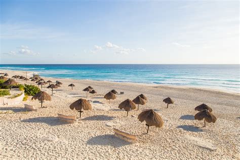 Visita La Hermosa Playa Delfines En Cancún El Heraldo De San Luis Potosí