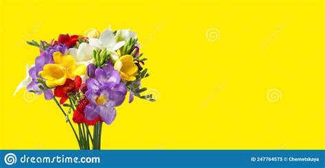 Bouquet Of Beautiful Freesia Flowers On Yellow Background Space For