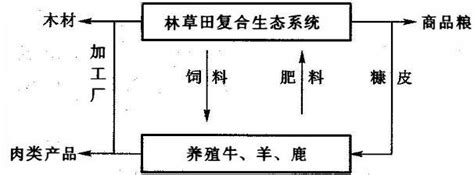 都在这了！生态农业的10大经典模式！中金在线财经号