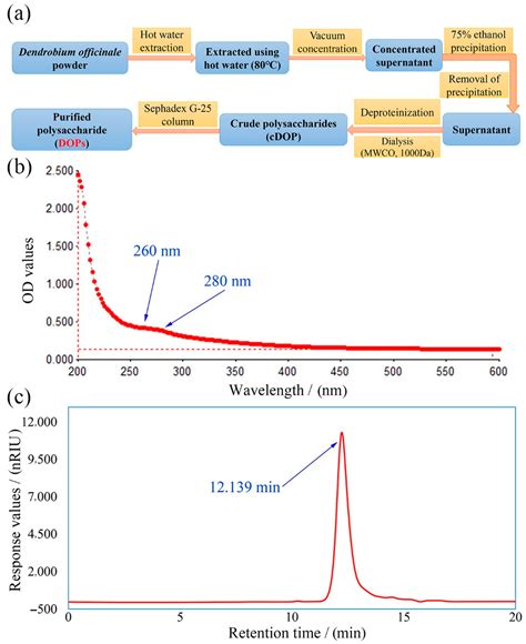 Polymers Free Full Text Extraction Structure And Immunoregulatory