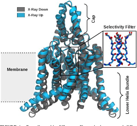 Figure 2 From Mechanism Of Mechanosensitive Gating Of The TREK 2