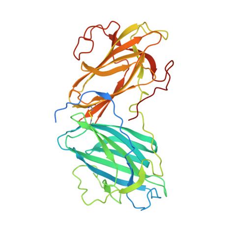 Rcsb Pdb Kc Crystal Structure Of Lectin From Pleurotus Ostreatus