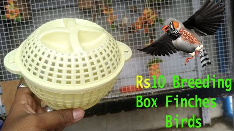 Easy Trick Home Made Breeding Box Finches 10 Pair Mini Aviary Finches