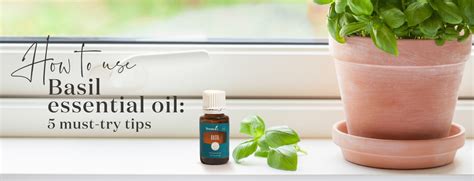 How To Use Basil Essential Oil 5 Must Try Tips Best Pure Essential Oils