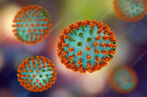 Vírus Da Influenza A Subtipo H3n2 - Influenza virus H3N2, illustration - Stock Image - F020/9565 - Science ...