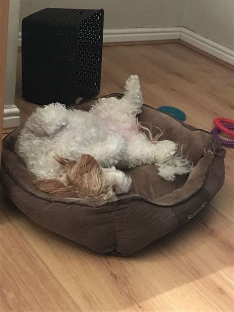 School of rock social media - We Will Miss You - Wattpad