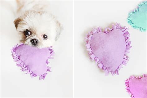 10 Genius DIY Dog Toys That Are Crazy Easy - My Dog's Name