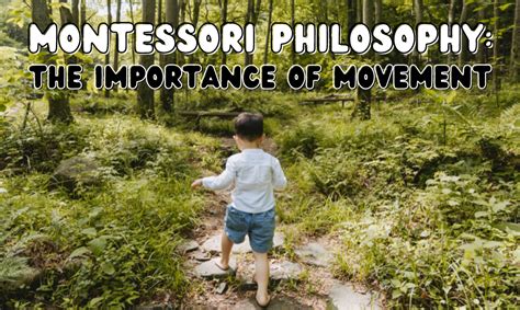 Montessori Philosophy The Importance Of Movement Maria Montessori School