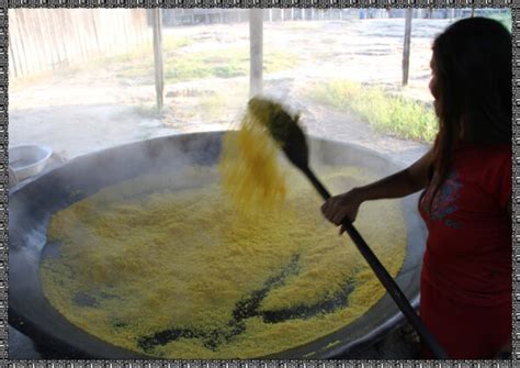 19 De Abril Cofen Busca Ampliar Seu Trabalho Na Saúde Indígena Cofen Br