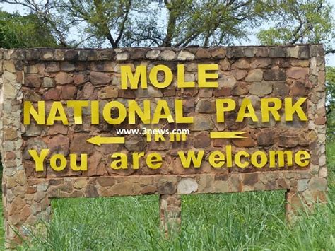 Mole National Park reopens to tourists