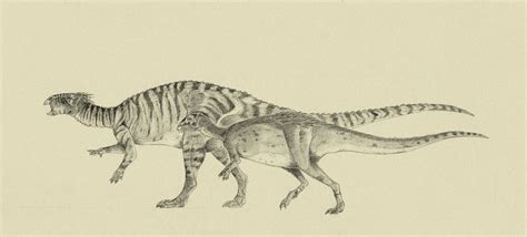 Ornithopods by Kahless28 on DeviantArt