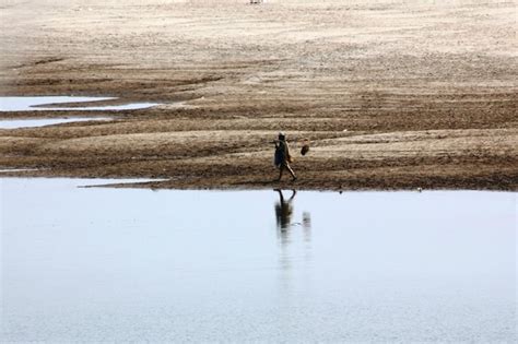 Premium Photo | Person walking at beach