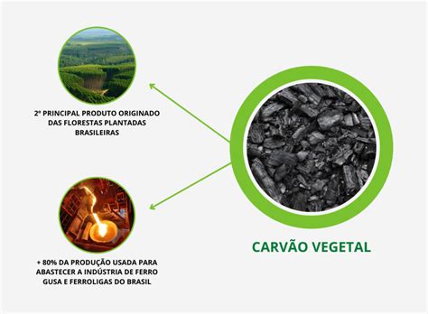 Carvão Vegetal É Renovavel - Como o carvão vegetal vai colaborar com a transformação da matriz ...