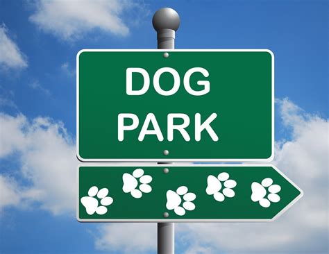 Dog Park Clipart Free