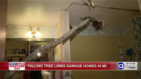 Falling Tree Limbs Damage Homes In Michigan Youtube